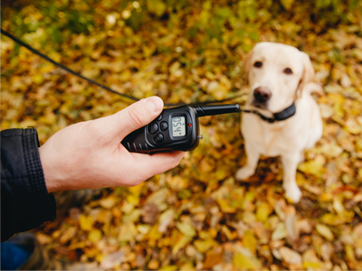 high power dog shock collar