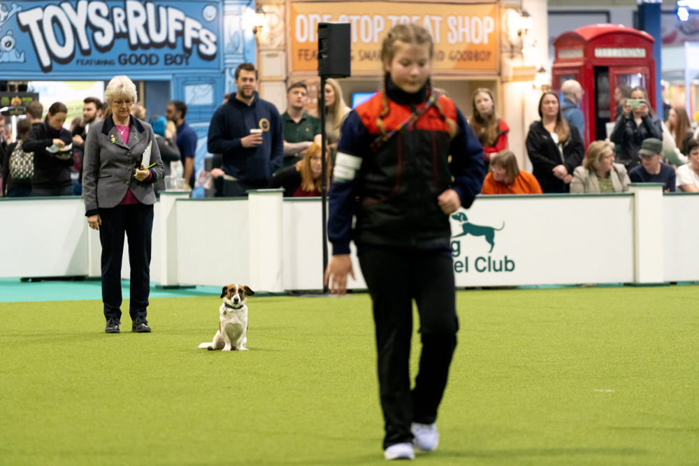YKC Grooming Qualifier Crufts Kennel Club
