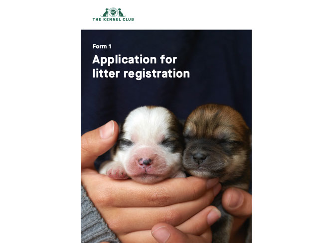 Litter registration | Registrations 